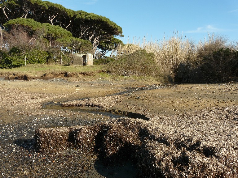 I fossi e lo stagno di Baratti (Piombino - LI)